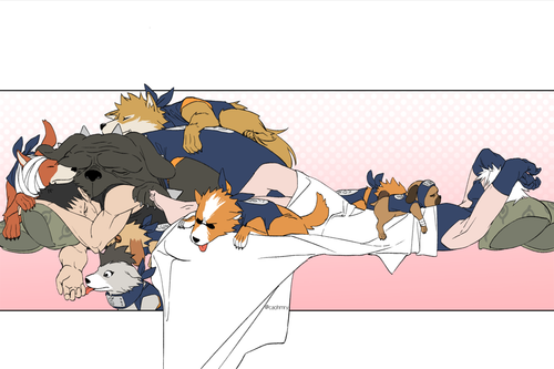 IMG 1070.png