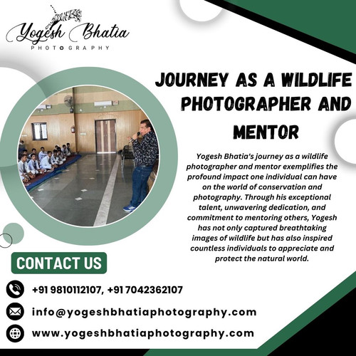 Journey as a Wildlife Photographer and Mentor.jpg