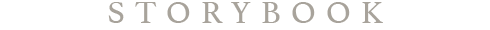 CSS Grafiken B490px Story.png