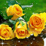 e58456e88d1a6b7a2be7bba97b7ee711.3