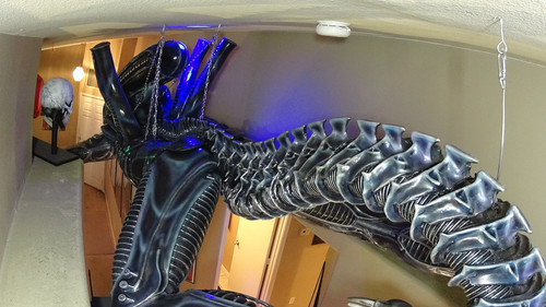 alien hang1.1