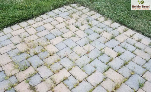 5 Ways to Prevent Weed Growth Between Paving Stones.jpg