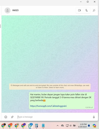 Screenshot 2024 06 29 132934.2