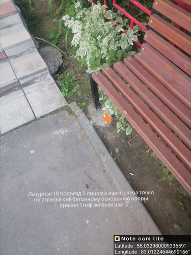IMG 20240701 222436.jpg