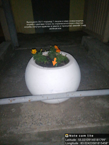 IMG 20240701 233621.jpg