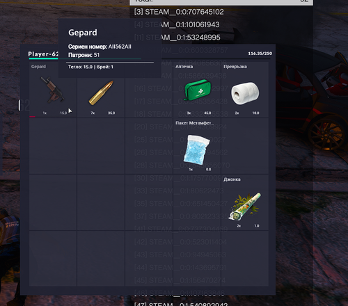 FiveM b2802 GTAProcess ClSNyOexUC.png