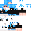 skin (29).png