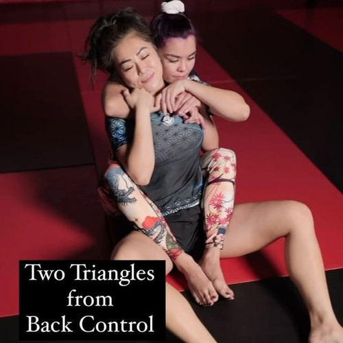 leginS JIUJitsu717a