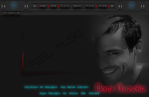 MERMI OZEL ZIYAN OLACAGIM.jpg