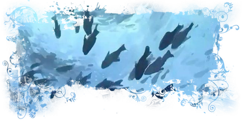 Untitled1015 20240628171210.png