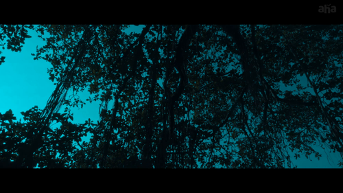 cd3fabf51db2.png