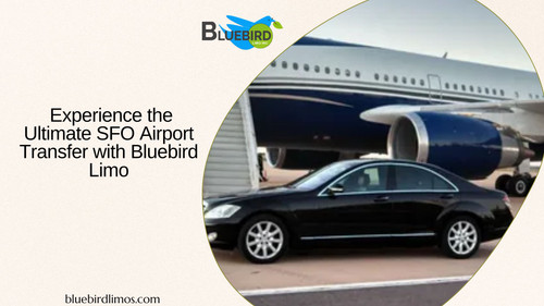  Experience the Ultimate SFO Airport Transfer with Bluebird Limo.jpg