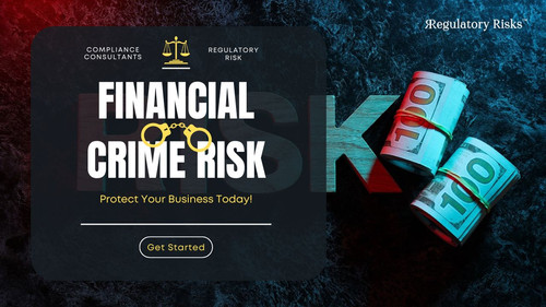 Financial Crime Risk Services: Protect Your Business Today!.jpg