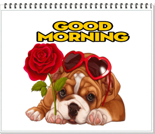 c5f0ac2ddbf13b172ad3d979eeb68b92.gif