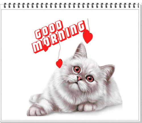 2da79c2604e87e1588ce6534c07dc3ba.gif