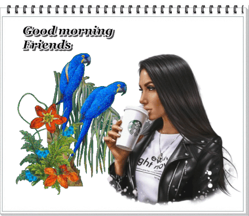 UuBrTHF41erQ.gif