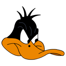 IMG 1393.png