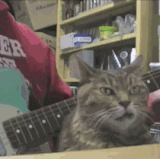 not impressed with your sweet j5ams.gif