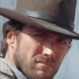 da795e6a7f.gif