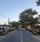 Beringin Raya.jpg
