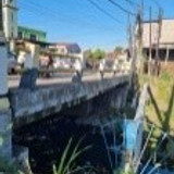 Kacong Dg lalang 1