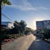 Mustafa Dg bunga