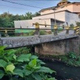 Pacalaya 1