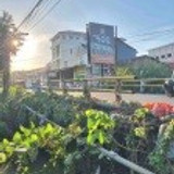 Mustafa Dg bunga 2