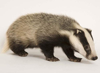 20181006160834 4652.jpg