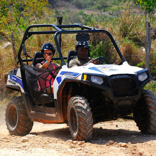 buggy 600x600.jpg