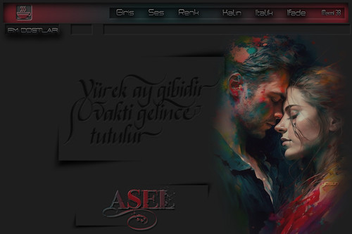 ASEL.AY GIBIDIR.MERMI 38.jpg