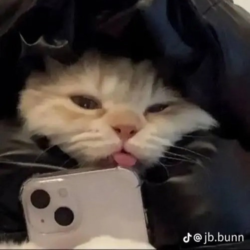 blob.jpg