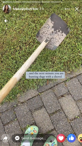 IMG 0449.png