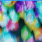 standard.gif