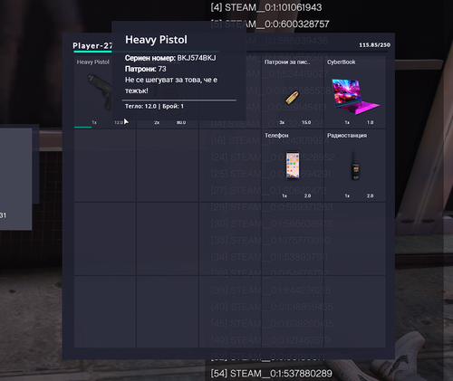 FiveM b2802 GTAProcess 3zydJ2ucK8.png