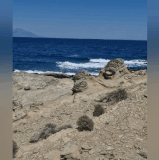 1000061326.gif
