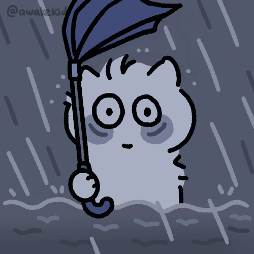 IMG 4371.gif
