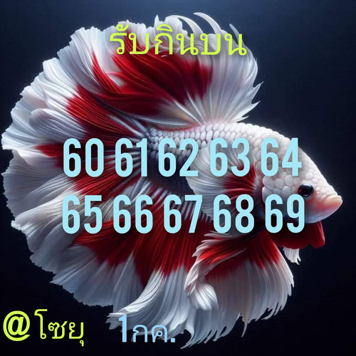 449410642 1002204421402859 3214694235665727134 n.jpg