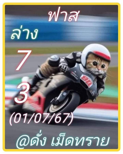 66156.jpg