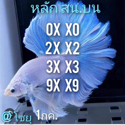449366716 1002204351402866 7381501028877382490 n.jpg