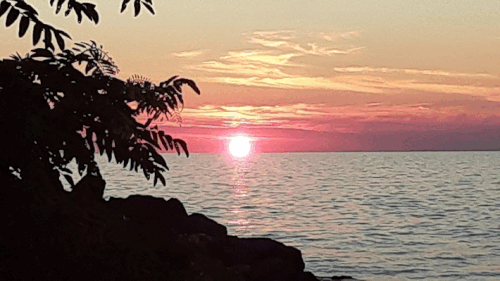 a la mer.gif