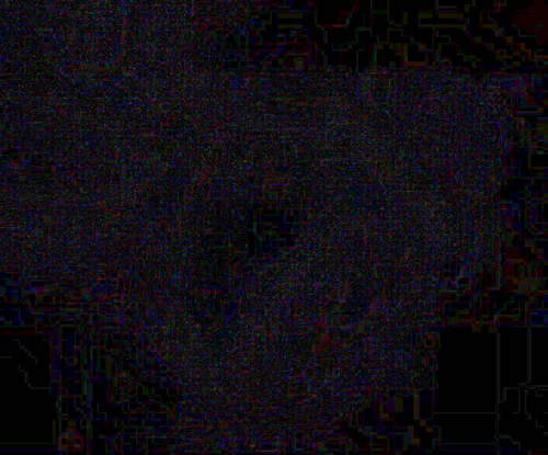 detail pixels add ela.png