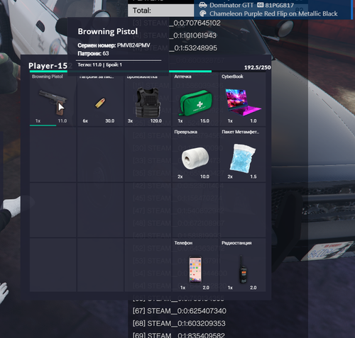 FiveM b2802 GTAProcess 5MRtdpvJGg.png
