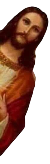 748dd4ba9600a49f8e2ae7fbd4c06bf2 removebg preview (1).png