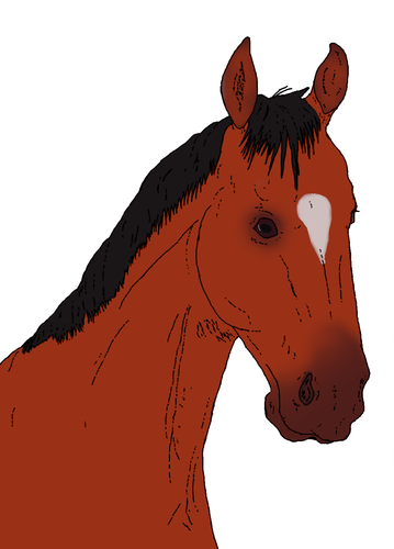 575.png