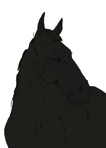 584.png