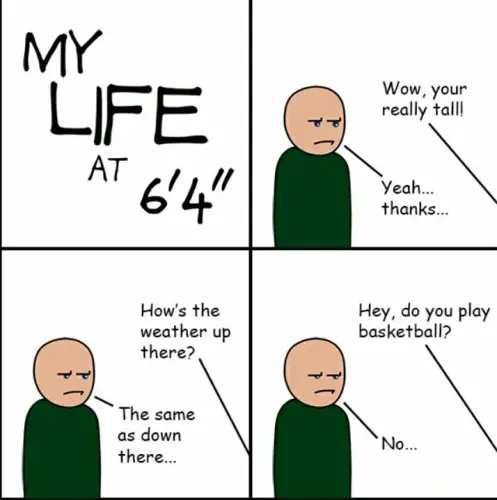 tall meme 1 1.webp