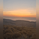 1000061516.gif
