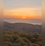 1000061517.gif
