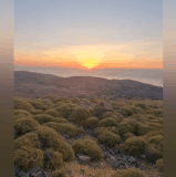1000061518.gif